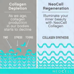 Marine Collagen Tablet Supplier - OEM ODM Type 1 3 Hyaluronic Skin Health