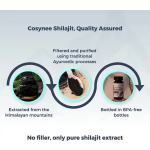 Shilajit Capsules Factory - Rich in Humic Acid 85 Minerals Male Strength