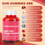 Apple Cider Vinegar Gummies Supplier - Organic Digestive Health Support 60 Vegan