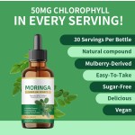 Moringa Drops Manufacturer - OEM ODM Leaf Extract Drops Supplement