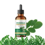 Moringa Drops Factory - OEM ODM Organic Leaf Extract Vegetarian