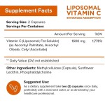 Vitamin C Antioxidant Manufacturer - High Absorption Anti-Aging