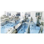 Turmeric Curcumin Capsules Factory - Energy Providing Nutrition