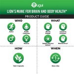 Shilajit Gummies Factory - Himalayan Lion's Mane Immune