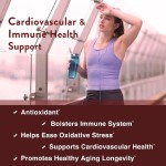 Zinc Quercetin Capsules Factory - 60 Vegetarian Antioxidant Immune