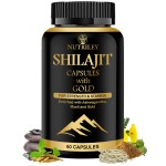 Shilajit Capsules Supplier - Gold 60 Count Energy Stamina