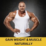 Weight Gain Capsules Factory - 60 Count Muscle Development
