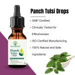 Ayurvedic Tulsi Drops Supplier - Panch Tulsi Immunity Boost