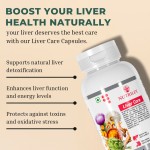 Liver Care Capsules Manufacturer - 60 Capsule Detox Support