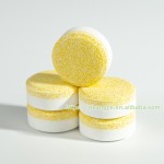 Water Bottle Tablets Supplier - 5g Solid Disposable Hydration Bladder Cleanser