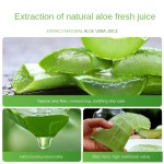 Tank Cleaner Supplier - Automatic Drum Descaling Effervescent