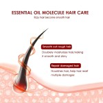 Castor Hair Oil Manufacturer - Organic Scalp Treatment Growing