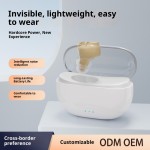 Hearing Aid Factory - Mini Digital Wireless In-Ear Device Home Use Wholesale