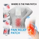 Pain Relief Patch Factory - Natural Plant Ingredients for Back Leg Joint