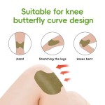 Knee Pain Patch Manufacturer - Natural Plant Extracts for Joint Muscle Pain