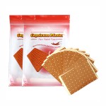 Lumbar Pain Patch Manufacturer - Herbal Chili Paste for Disc Herniation