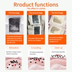 Foot Detox Patch Manufacturer - OEM Ginger Detox Pad Factory Supply