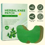 Knee Pain Patch Manufacturer - Natural Plant Extracts for Joint Muscle Pain