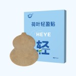 Slimming Waist Patch Manufacturer - Stubborn Fat Dissolution Visible Results