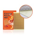 Lumbar Pain Patch Manufacturer - Herbal Chili Paste for Disc Herniation