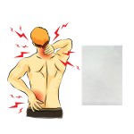 Pain Relief Patch Factory - Natural Plant Ingredients for Back Leg Joint