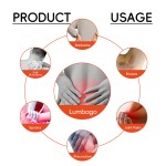 Lumbar Pain Patch Manufacturer - Herbal Chili Paste for Disc Herniation