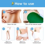 Detox Patch Manufacturer - Weight Loss Oil Control Improve Constitution