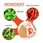 Lumbar Pain Patch Manufacturer - Herbal Chili Paste for Disc Herniation