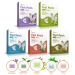 Foot Detox Patch Manufacturer - OEM Ginger Detox Pad Factory Supply