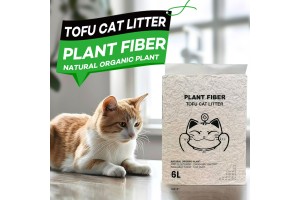 Leading the Global Natural Tofu Cat Litter Market with OEM Strength to Empower Pet Brands in Seizing the Eco-Consumption Trend