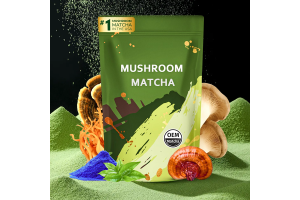 Leading Mushroom Matcha Powder OEM Manufacturer Elevates Global Health Food Brands