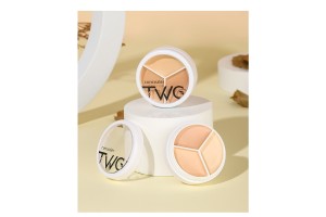 Leading OEM/ODM Partner for TWG 3-Color Waterproof Concealer Palette
