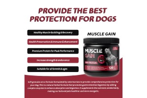 Pet Muscle Gain Soft Chews: 25-Year-Old Expert Factory Drives OEM/ODM Success, Unlocking New Vistas in the Global Pet Health Market