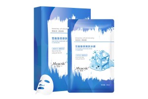 Professional Mask OEM Factory: Snow-Melting Rejuvenating Skin Ice Mask OEM Services to Empower Beauty Brands in Capturing the Moisturizing & Brightening Market Segment