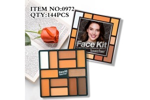 Zhejiang Cosmetics Factory: 0972 12-in-1 Contour Palette OEM/ODM, Empowering Beauty Brands to Expand Markets Efficiently