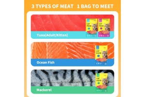 Pet Food OEM/ODM Innovation Leader: Ocean Fish Cat Wet Food Redefines Quality Contract Manufacturing Standards