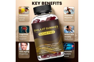 Shilajit Gummies OEM/ODM: Tap Into the Booming Sugar-Free Supplement Market