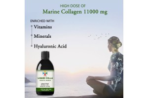 Elevate Your Brand with Hongdaishu: Hydrolyzed Fish Collagen Oral Liquid OEM/ODM – Your Gateway to the Booming Beauty & Health Market