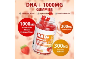Handian Biotechnology: Leading NAD+ Gummies OEM/ODM Partner, Fueling Brand Success in Global Cellular Health Market