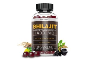 Professional Shilajit Gummies OEM/ODM Manufacturer: Empowering Brands to Create High-Quality Mineral Supplement Bestsellers