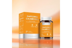 GlowLeaf Garcinia Cambogia Tablets: Leading OEM/ODM Weight Management Supplement, Empowering Global Brands with Strong Factory Strength