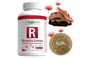 Aogubio Rhodiola Extract Capsules: Premium OEM/ODM Solutions for Global Nutraceutical Partners