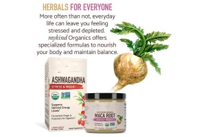 Elevate Your Health Brand with One-Stop Organic Maca Root Powder OEM/ODM: Guangzhou Limekang’s Winning Formula for Global Success