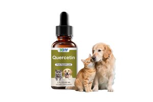 One-Stop Pet Quercetin Drops OEM/ODM Solutions: Xinhongyan Biotechnology Empowers Pet Health Brand Upgrades