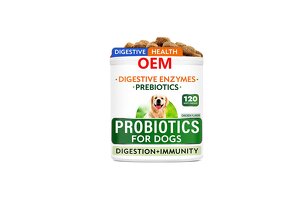 High-Quality Pet Probiotic Soft Chews OEM/ODM: Empower Brands to Seize the Multi-Billion-Dollar Pet Health Market