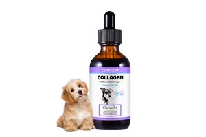 Professional Bovine Collagen Drops OEM/ODM: Guangzhou Factory Empowers Pet Health Brand Upgrades