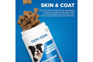 Revolutionize Pet Health OEM/ODM: Jiangsu Handian’s Salmon Oil Supplements Set New Industry Standards