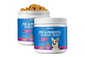 Empower Pet Brand Growth! WORAFY Probiotic Soft Chews OEM/ODM Manufacturing, Unlocking New Opportunities in Gut Health