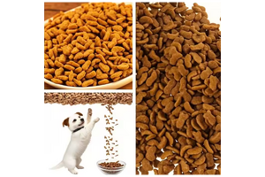 Elevate Your Brand with Premium Grain-Free High-Protein Dog Food OEM/ODM: Tap into the Booming Pet Food Market