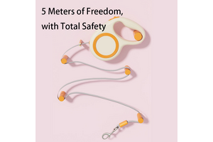 Elevate Your Pet Brand with Top-Tier OEM/ODM: Guangzhou Daimengmao’s 5-Meter Automatic Retractable Leash Leads the Market